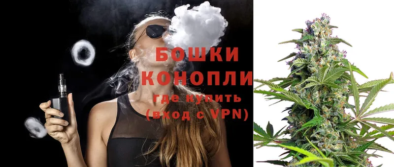 где найти   Вичуга  Канабис White Widow 